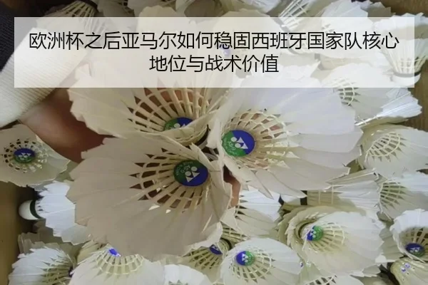 欧洲杯之后亚马尔如何稳固西班牙国家队核心地位与战术价值 | kaiyun